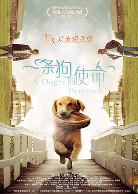 狂放中文字幕