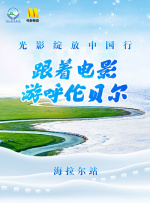 丛林里的生活