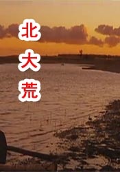 最好看的日本字幕在线观看