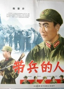 国产精品h
