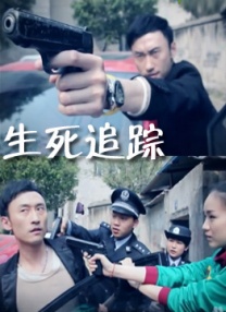 国产成人v视频在线观看