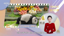 奶白推特
